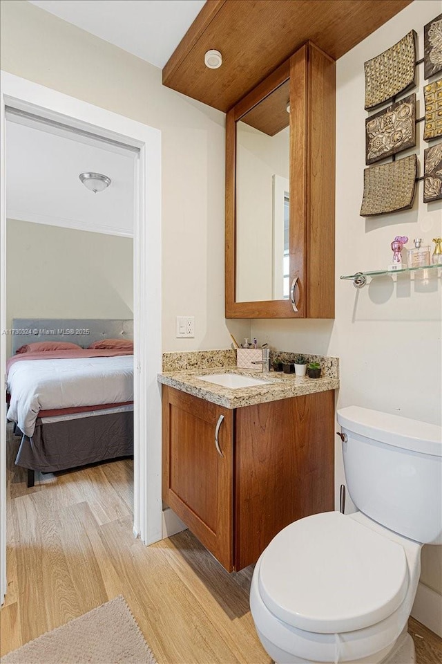 bathroom featuring hardwood / wood-style floors, toilet, and vanity