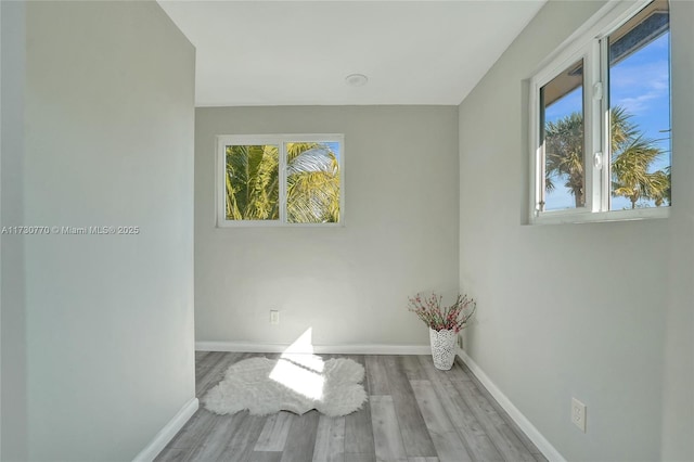 empty room with plenty of natural light and light hardwood / wood-style floors