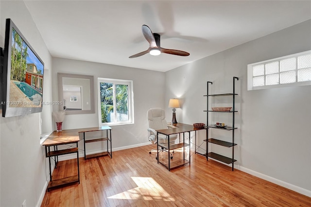 office area featuring light hardwood / wood-style flooring and ceiling fan