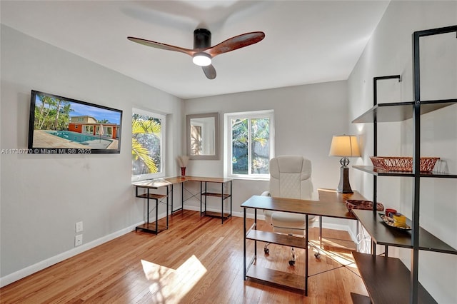 office with ceiling fan and light wood-type flooring