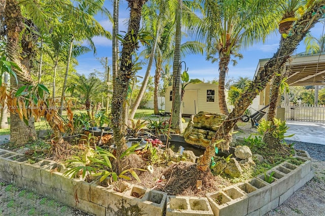 view of yard with a storage unit