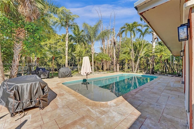 view of swimming pool featuring area for grilling and a patio area