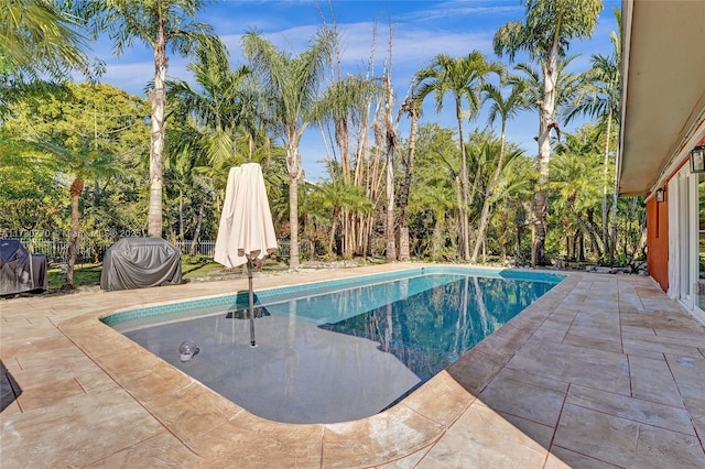 view of swimming pool with a patio