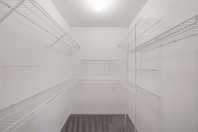 spacious closet with dark carpet