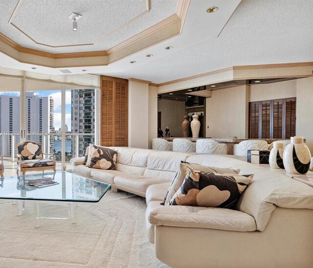 living room with crown molding and a tray ceiling