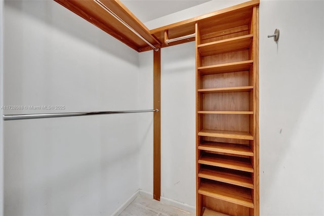 view of walk in closet