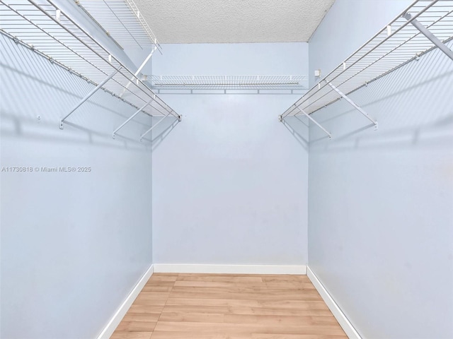 spacious closet with hardwood / wood-style flooring