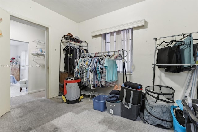 walk in closet with carpet