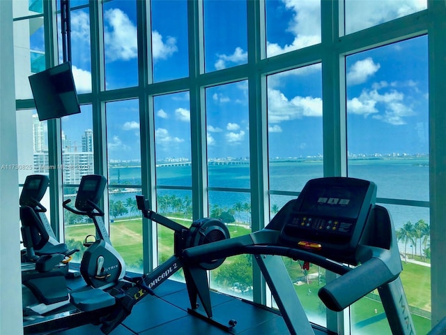 workout area featuring floor to ceiling windows, a wealth of natural light, and a water view