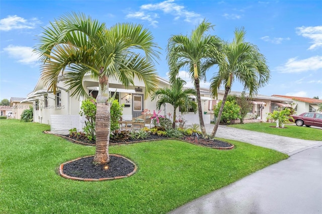 view of front of house with a front yard