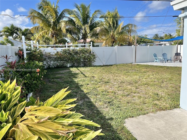 view of yard with a patio