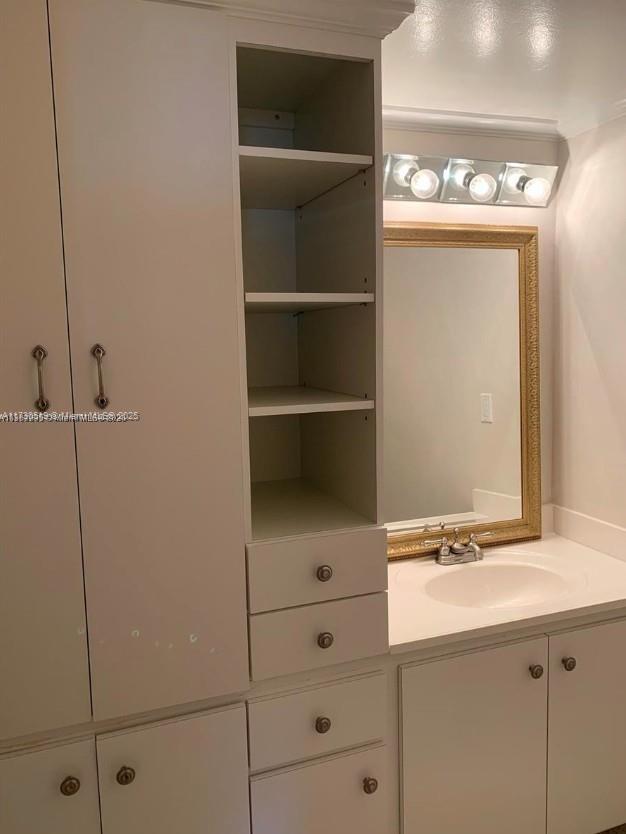 closet with sink