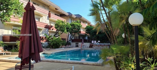 view of swimming pool with a patio area