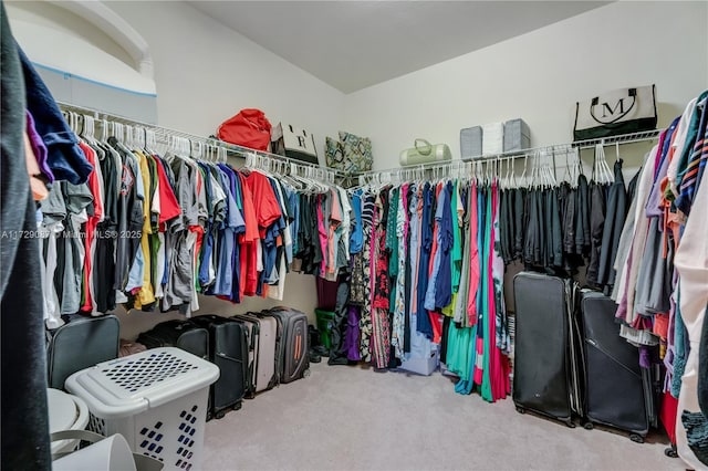 spacious closet featuring carpet