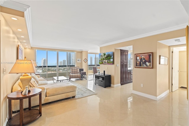 living room with ornamental molding