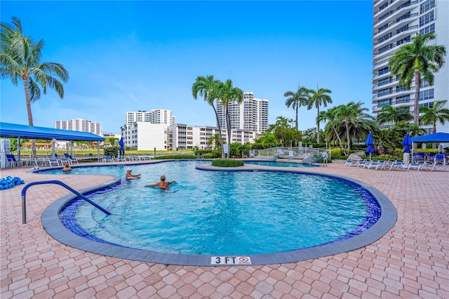 view of pool featuring a patio