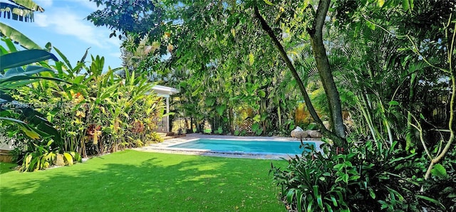 view of swimming pool featuring a lawn