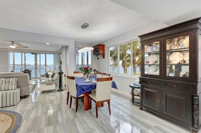 dining space with a healthy amount of sunlight and a water view