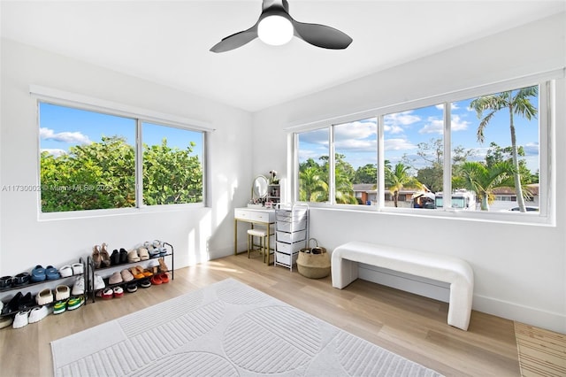 interior space with ceiling fan