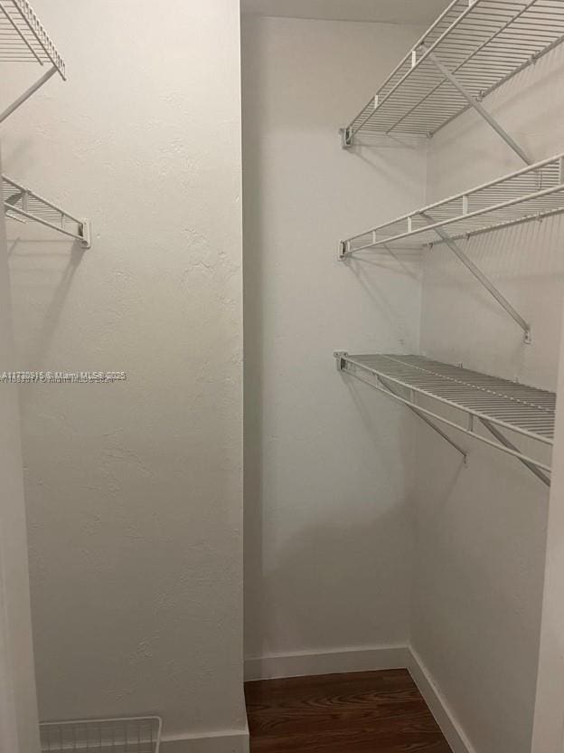 walk in closet with dark wood-type flooring