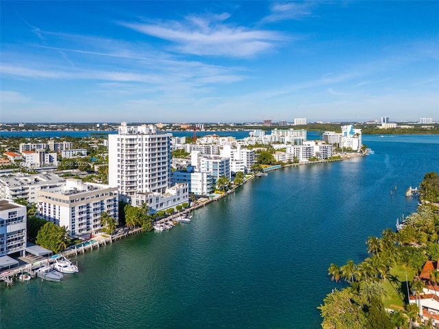 aerial view with a water view and a view of city