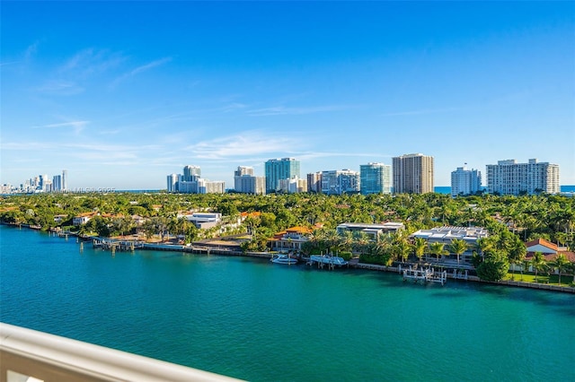 bird's eye view with a water view