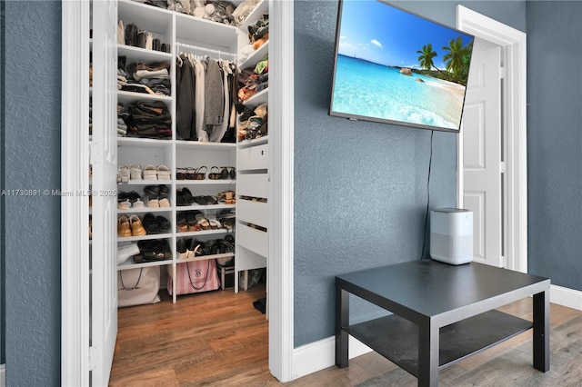 walk in closet featuring hardwood / wood-style flooring