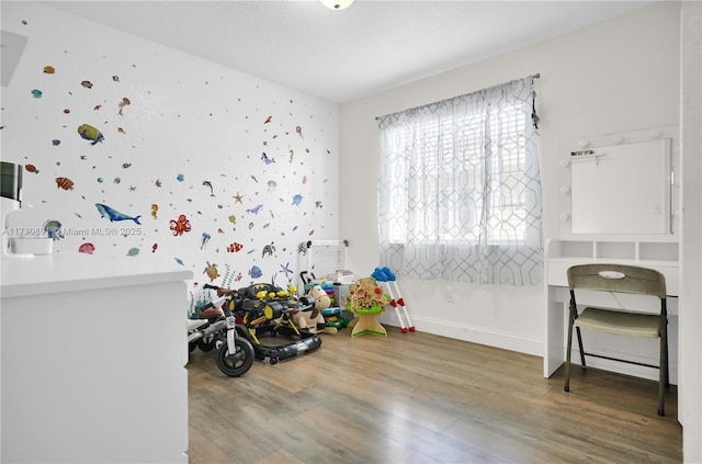 playroom featuring hardwood / wood-style floors