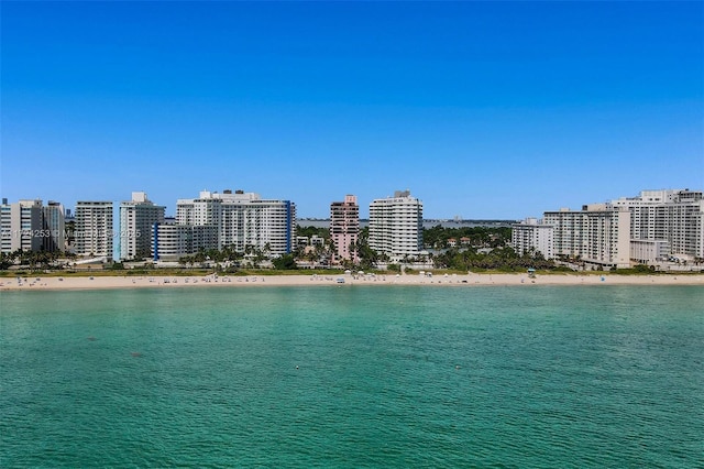 property view of water with a view of the beach