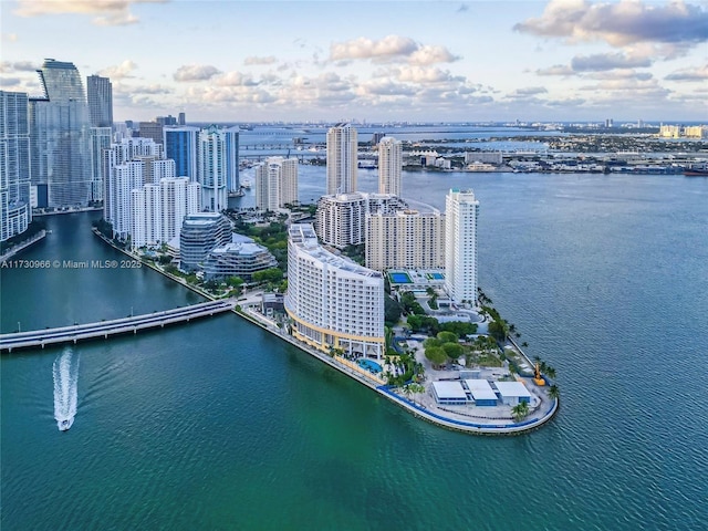 bird's eye view with a water view