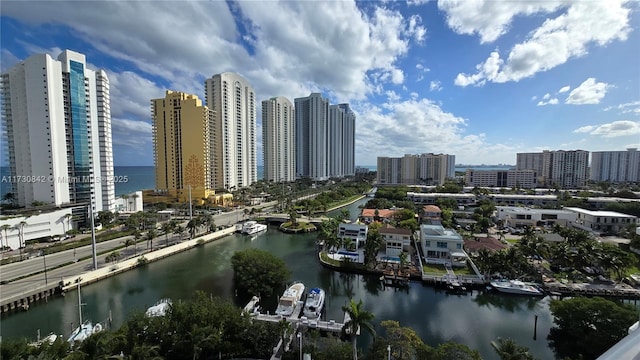 aerial view with a water view and a city view