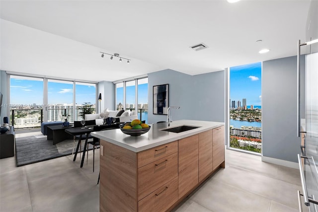 kitchen with sink, a water view, track lighting, expansive windows, and a center island with sink