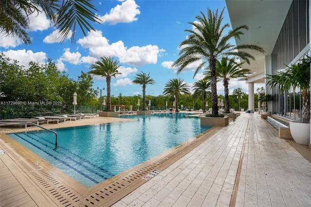 view of pool with a patio area