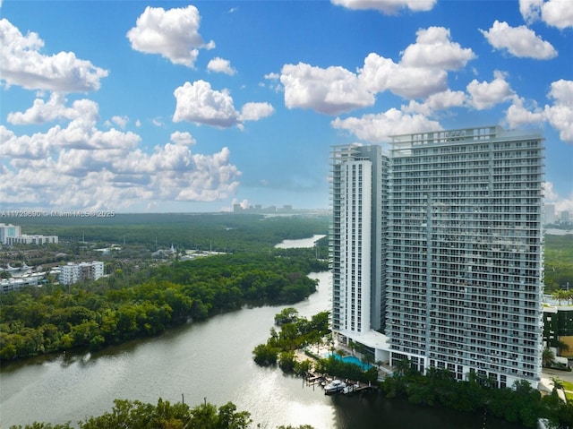 bird's eye view with a water view