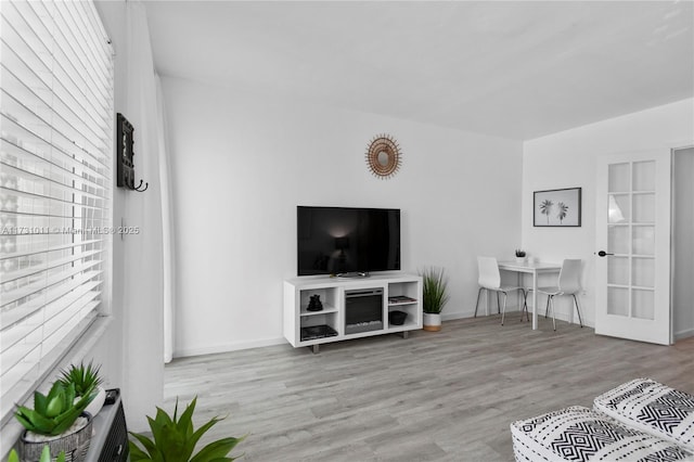 living room featuring light wood-type flooring