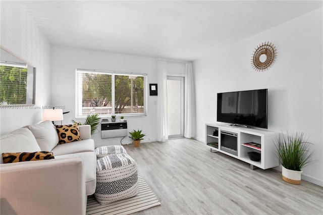 living room featuring heating unit and light hardwood / wood-style floors