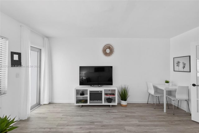 living room with light hardwood / wood-style flooring