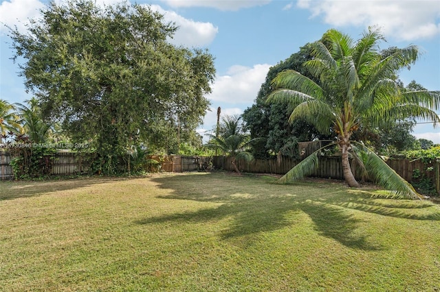 1230 NE 144th St, Miami, FL 33161 - photo 33