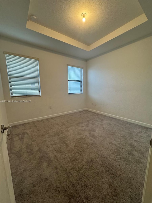 carpeted spare room with a raised ceiling and a textured ceiling