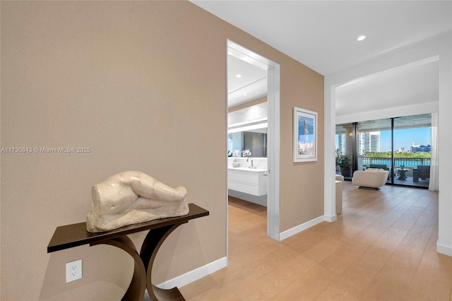 hall with sink and light hardwood / wood-style flooring