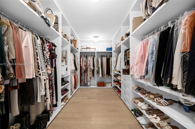 spacious closet with light wood-type flooring