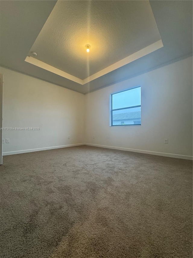 unfurnished room with a raised ceiling, a textured ceiling, and carpet