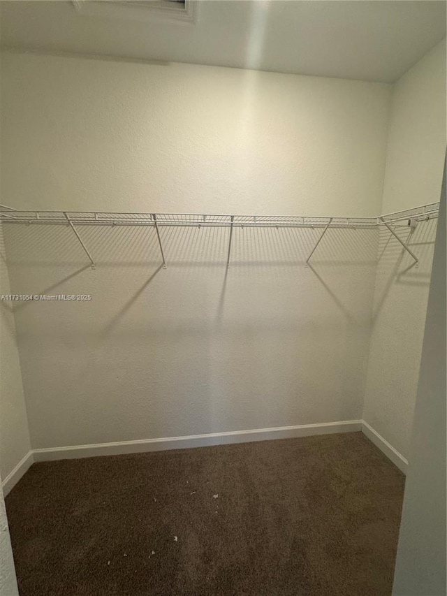 walk in closet featuring carpet