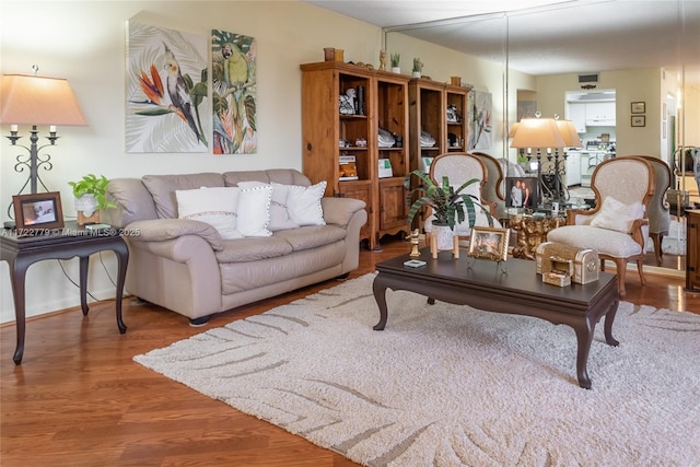 living room with hardwood / wood-style flooring