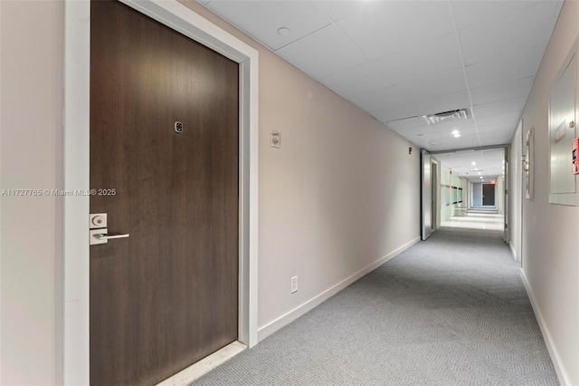 hall featuring light carpet and a drop ceiling