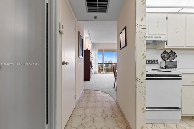 kitchen featuring ceiling fan, sink, and white appliances