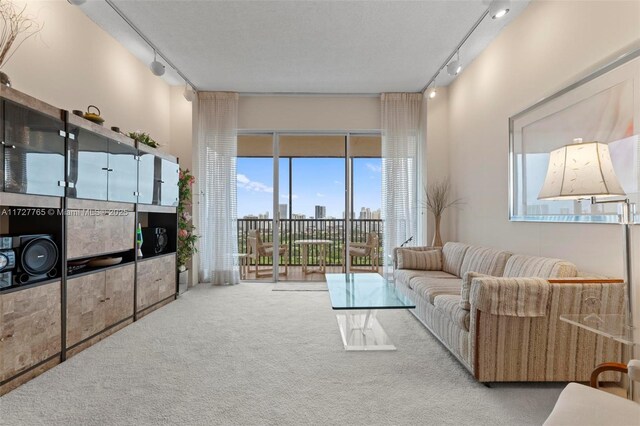 carpeted living room featuring track lighting