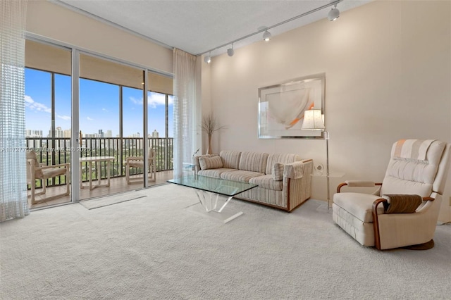 living room featuring a towering ceiling, light carpet, and track lighting