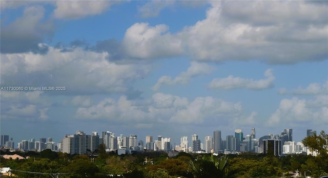 property's view of city