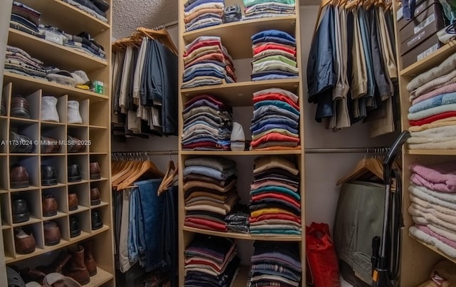 view of spacious closet